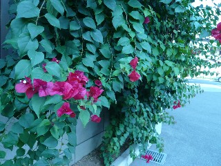 a0098027_17462455.jpg
