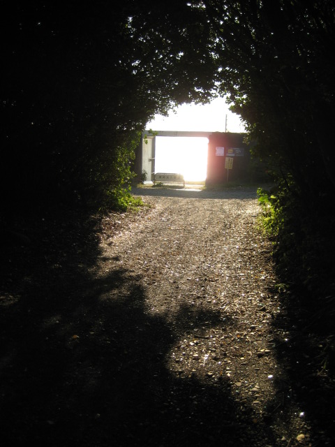 d0147727_20121839.jpg