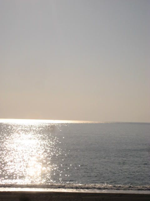 d0147727_20125163.jpg