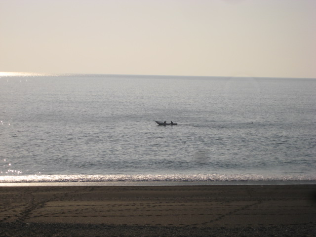 d0147727_2013287.jpg