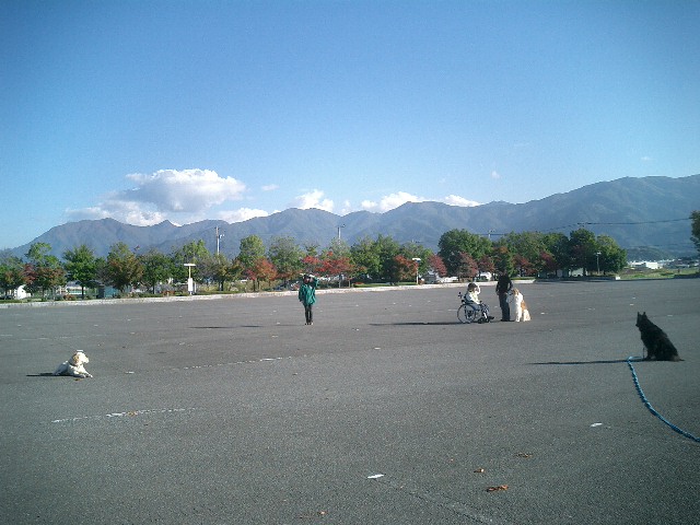 c0114833_195257100.jpg