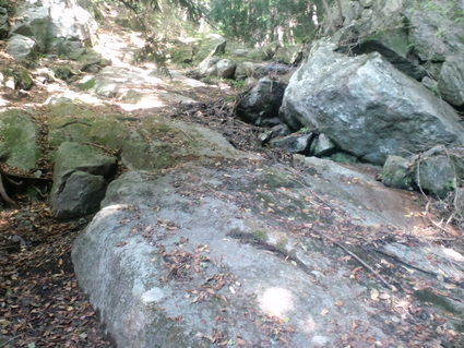 c0108034_21173272.jpg