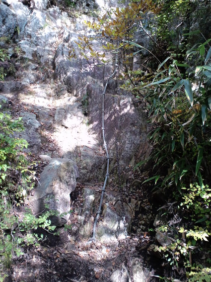 c0108034_21254960.jpg