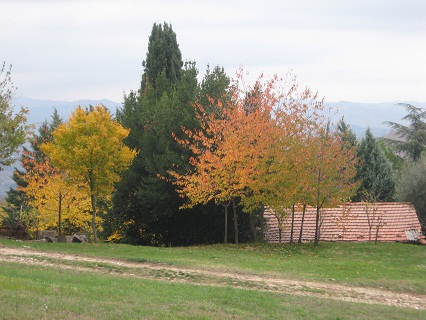 f0234936_1471848.jpg