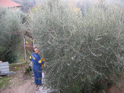 f0234936_1473965.jpg