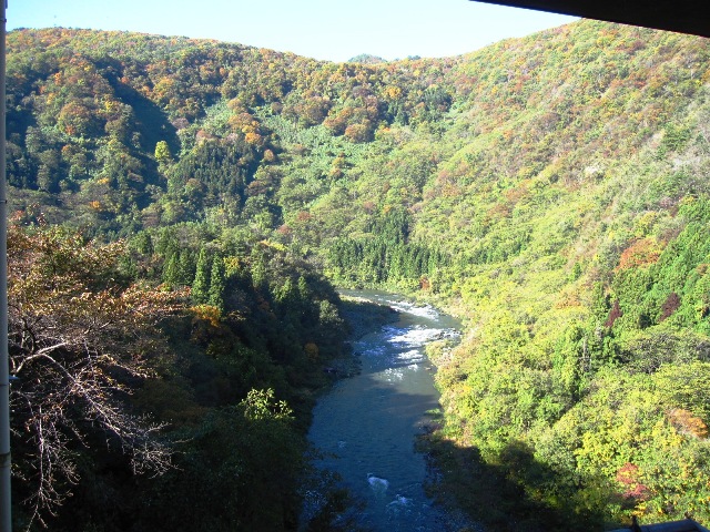d0124543_11533112.jpg