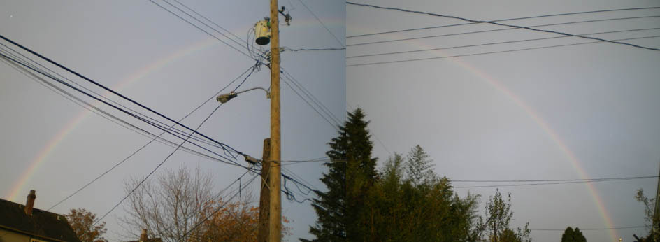 e0016845_957497.jpg