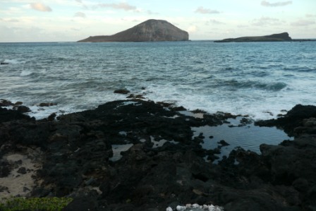b0126453_6151450.jpg