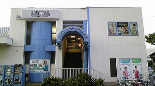 f0217855_22591763.jpg