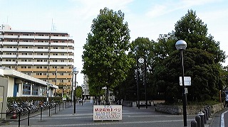 f0217855_22595114.jpg