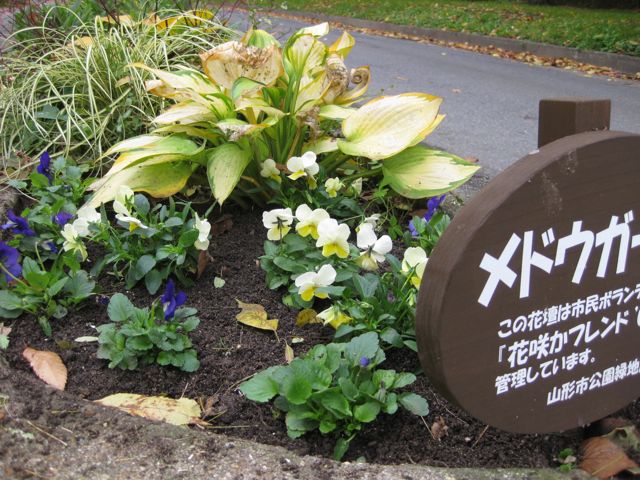 a0154962_2365715.jpg