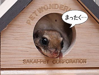 f0196665_0115655.jpg