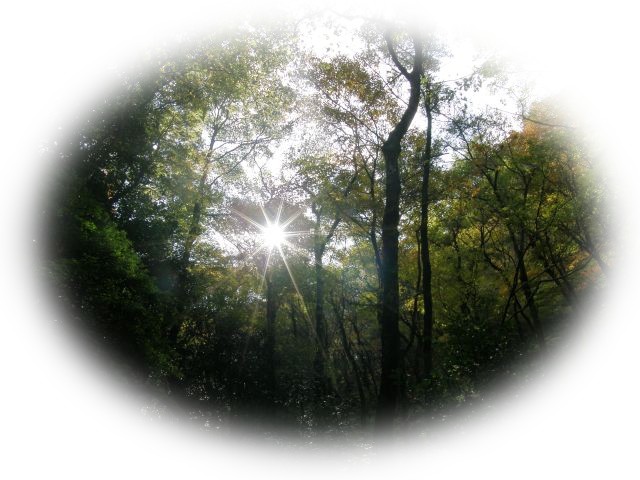 c0042869_18362677.jpg
