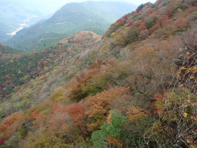 c0042869_19203160.jpg
