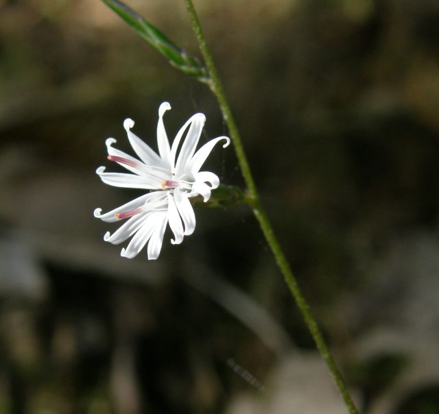 c0042869_19284551.jpg