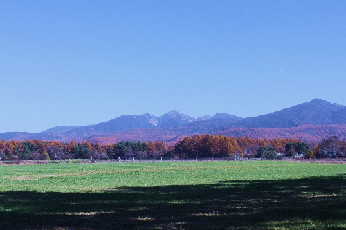 f0203369_2234497.jpg