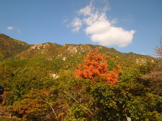 d0114270_15521529.jpg
