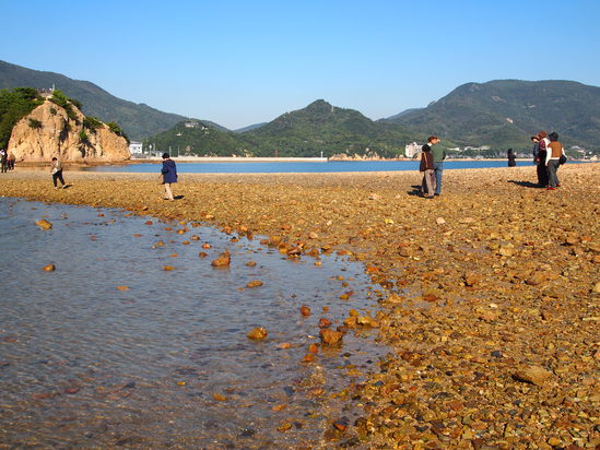 d0114270_1558013.jpg