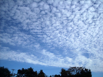 e0097770_22464772.jpg