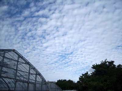 e0097770_2247369.jpg