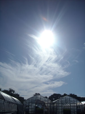 e0097770_2247534.jpg