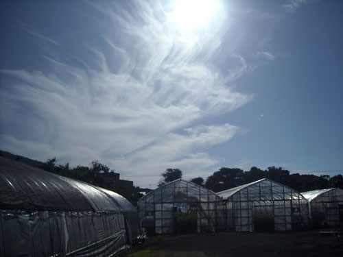 e0097770_22494550.jpg