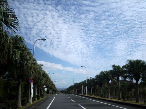 e0097770_2335596.jpg