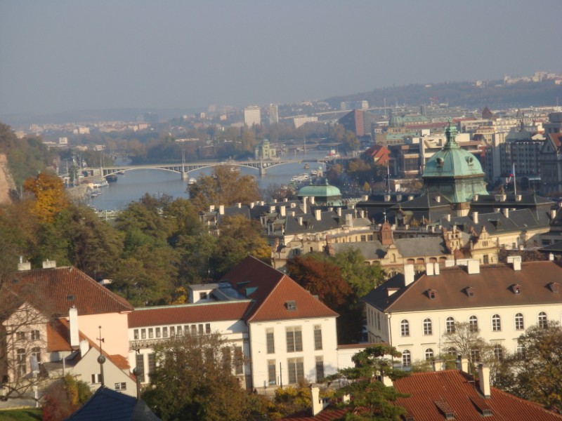 d0116376_17265159.jpg