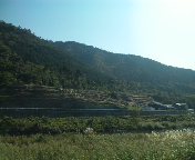 f0237680_9225835.jpg