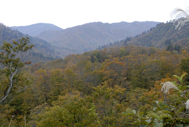 b0194593_13941100.jpg