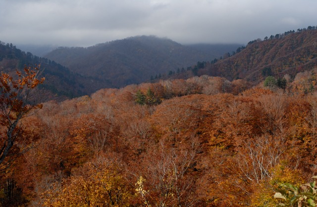 b0194593_1404636.jpg