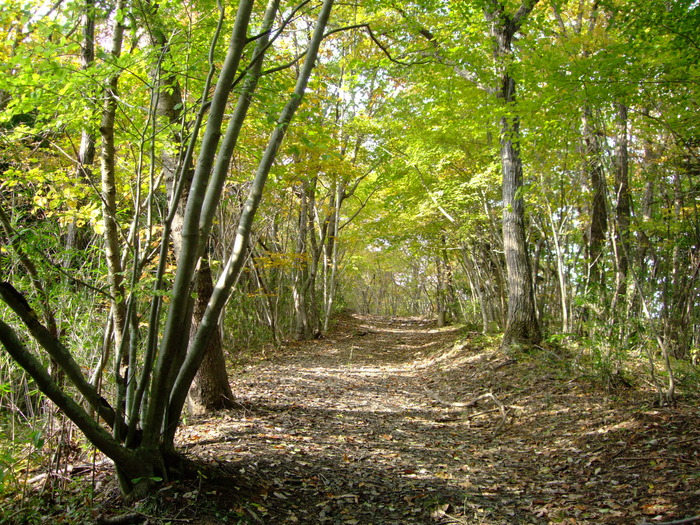 f0100593_19421550.jpg