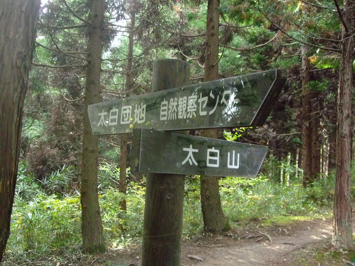 f0100593_19425385.jpg