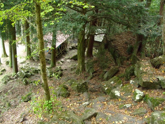 f0100593_19432176.jpg
