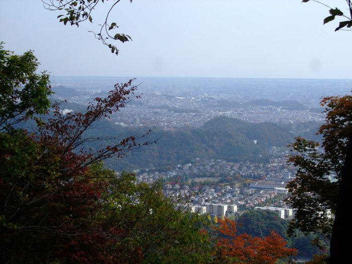 f0100593_19441379.jpg
