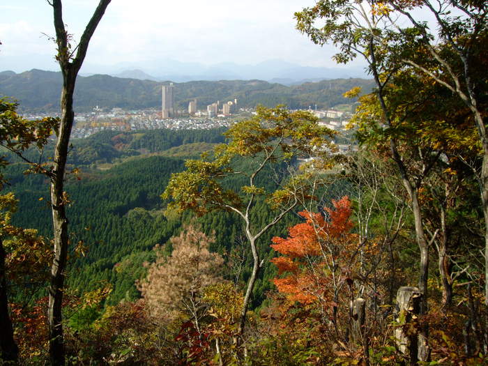 f0100593_19443198.jpg