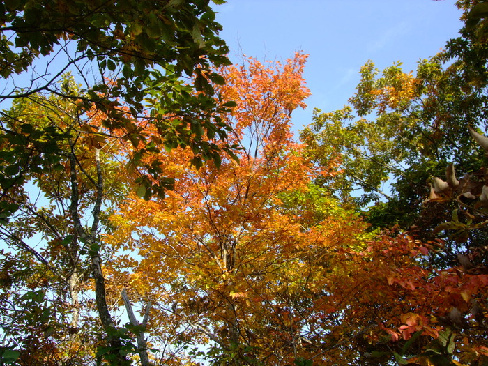 f0100593_19444054.jpg