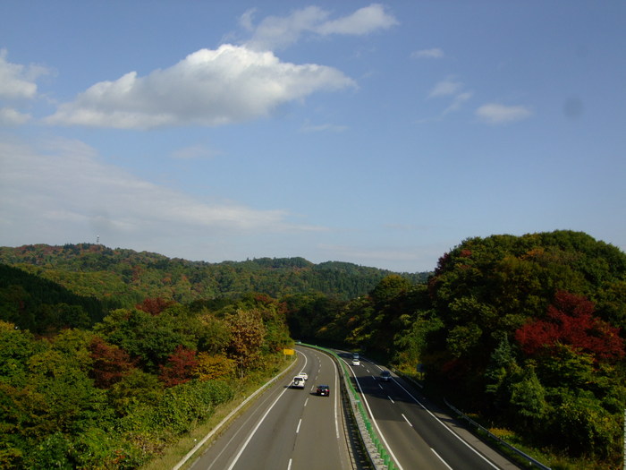 f0100593_19451562.jpg