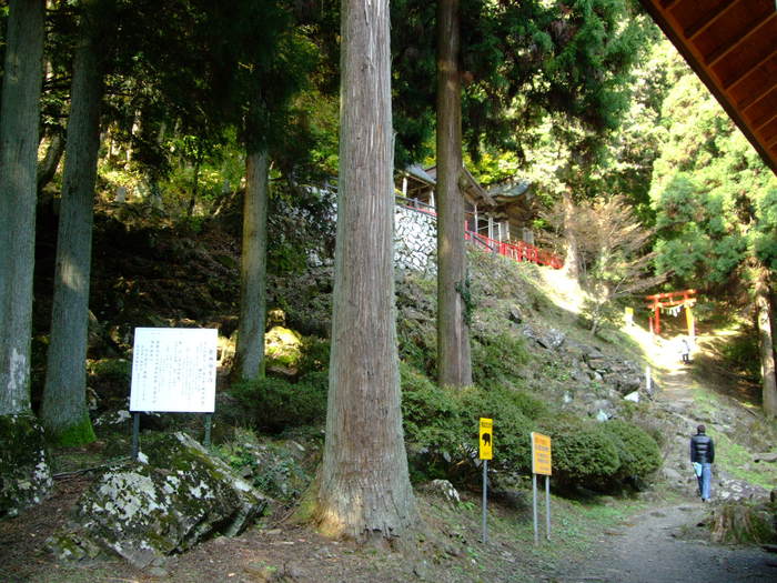 f0100593_1945534.jpg