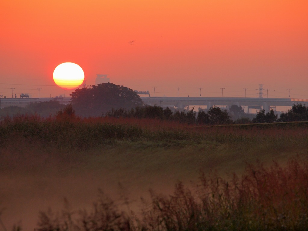 f0224100_4454562.jpg