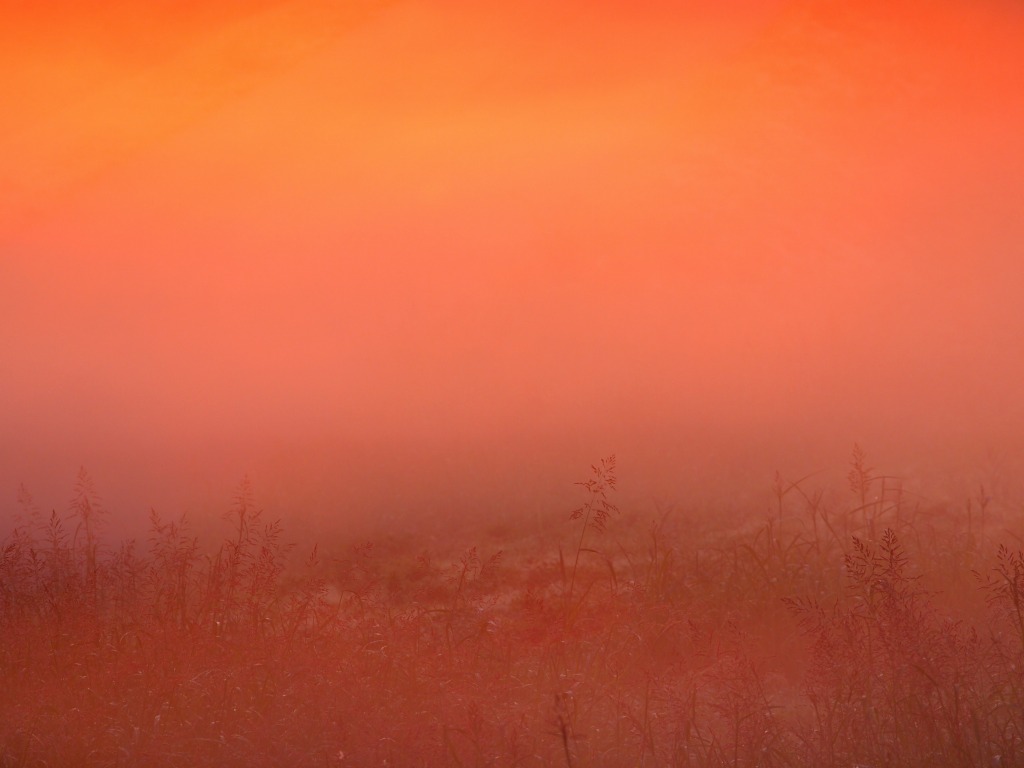 f0224100_4472464.jpg