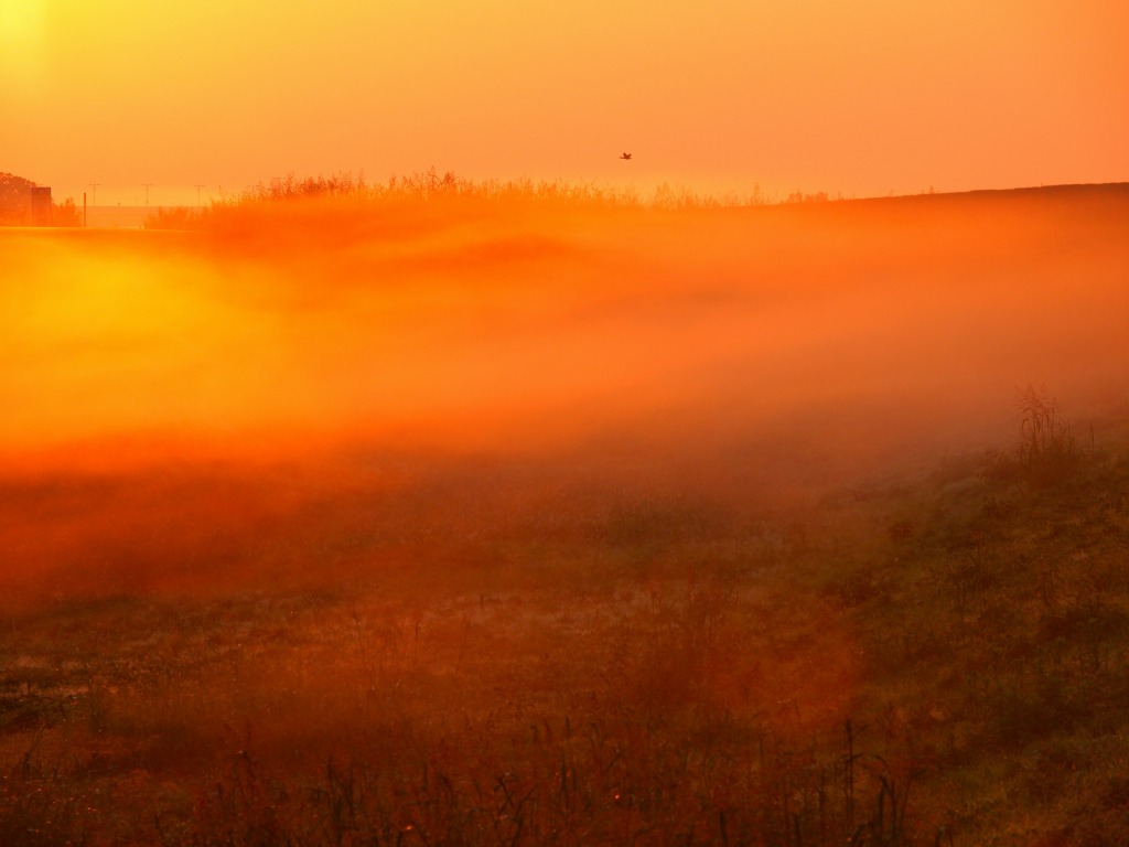 f0224100_4551014.jpg