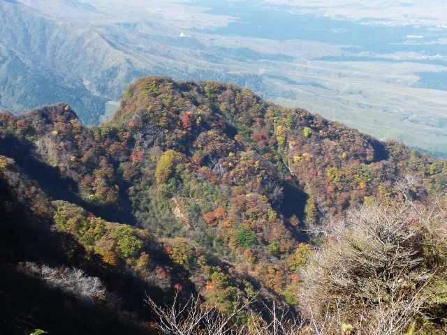 b0025101_1511395.jpg