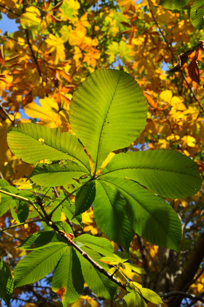 c0157702_1324015.jpg