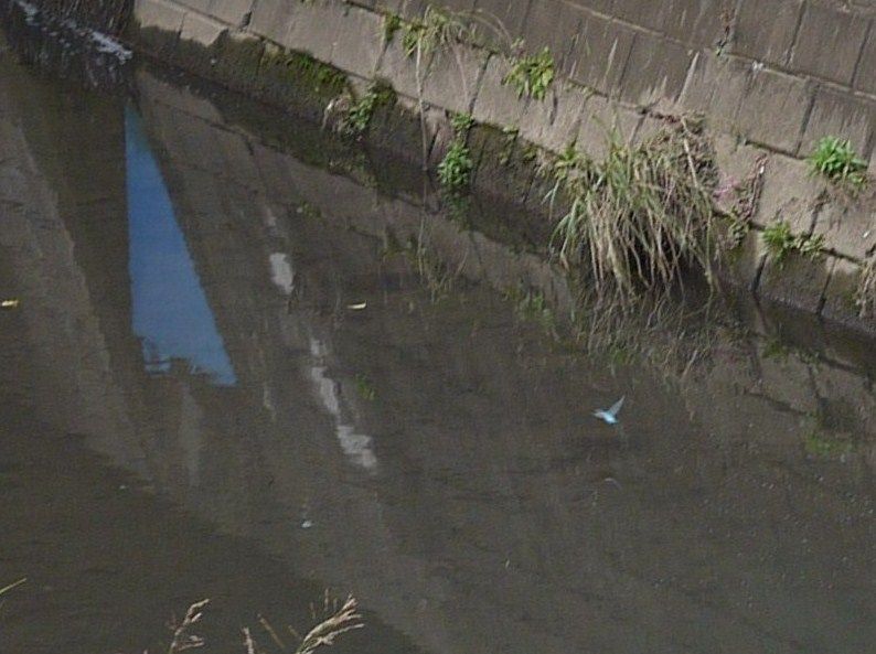 c0187503_17165062.jpg