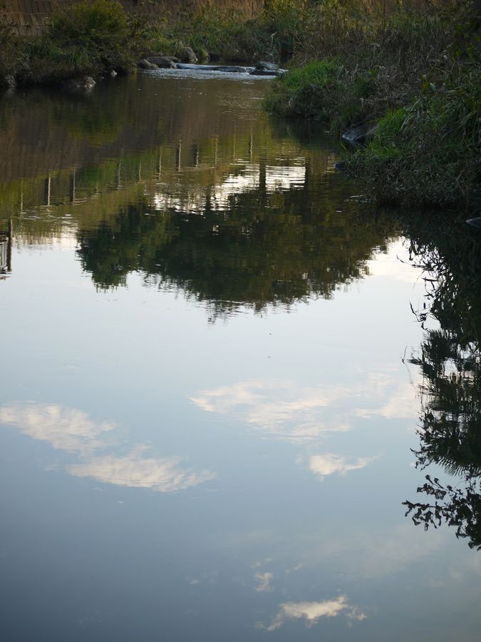 c0187503_1735443.jpg