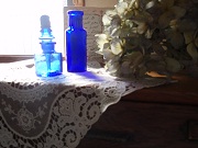 e0207503_2012253.jpg