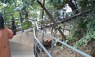 d0054704_0434074.jpg