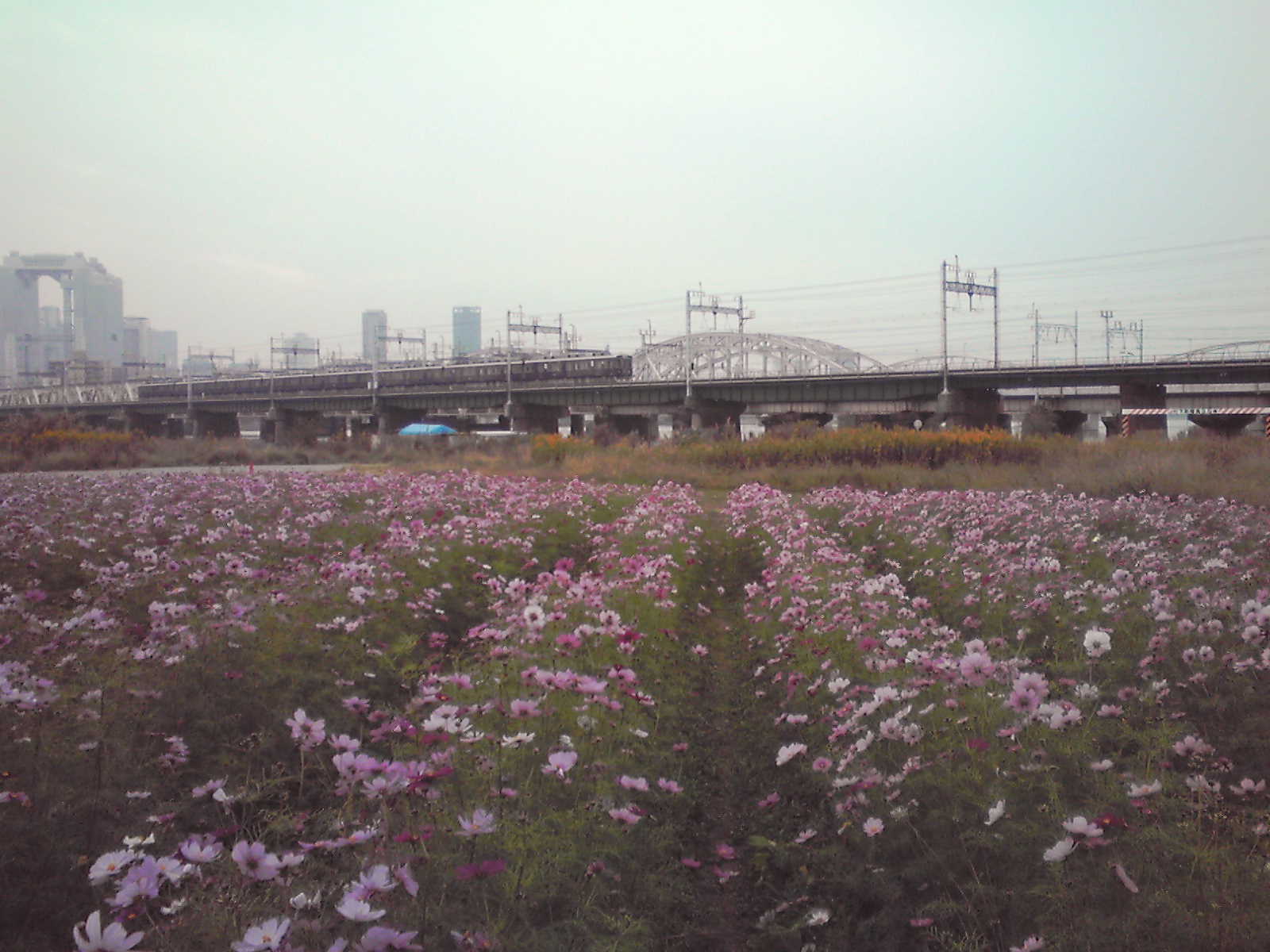 d0071507_182090.jpg