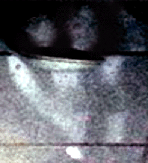 e0103408_140462.gif